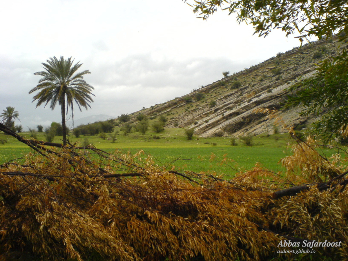 Framed by Nature, Bishapur, fars