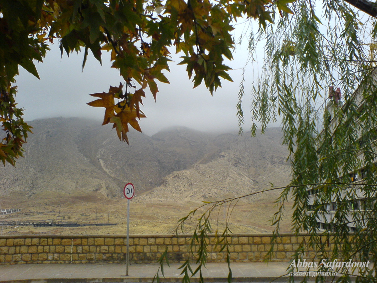 Framed By Nature, Shiraz